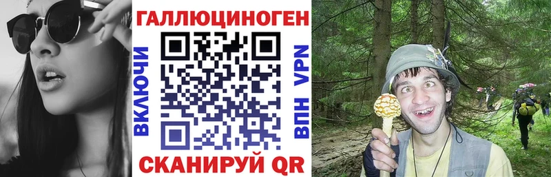 Галлюциногенные грибы прущие грибы  Лукоянов 